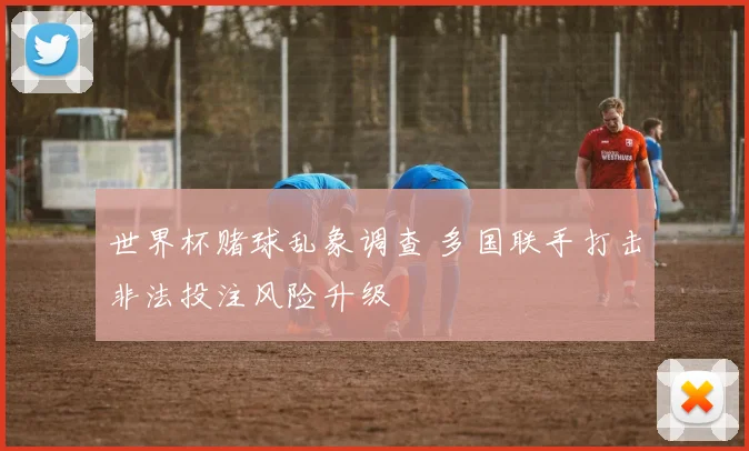 世界杯赌球乱象调查 多国联手打击非法投注风险升级