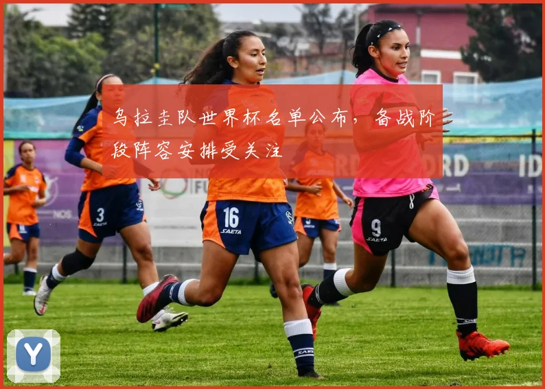 乌拉圭队世界杯名单公布,备战阶段阵容安排受关注