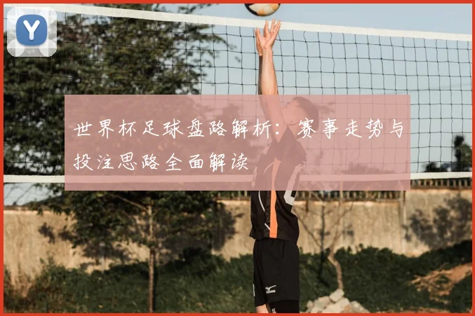 世界杯足球盘路解析：赛事走势与投注思路全面解读